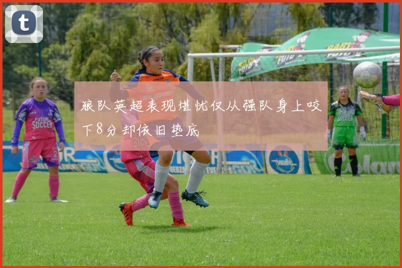 狼队英超表现堪忧仅从强队身上咬下8分却依旧垫底