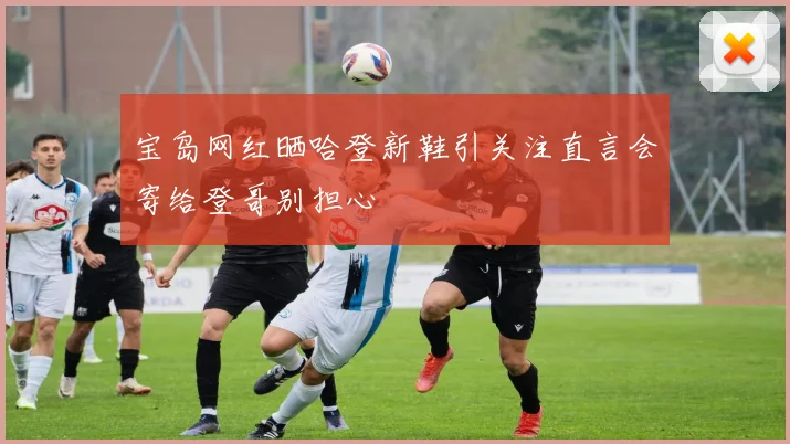 宝岛网红晒哈登新鞋引关注直言会寄给登哥别担心