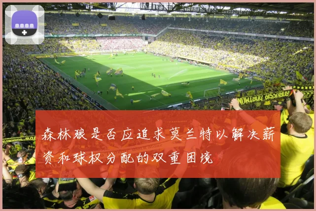 森林狼是否应追求莫兰特以解决薪资和球权分配的双重困境