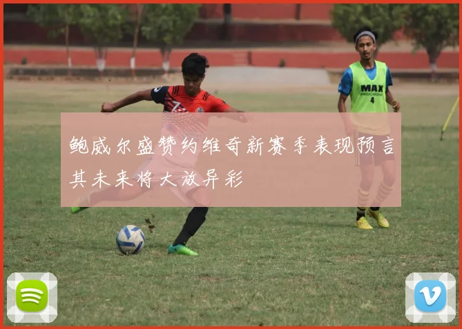 鲍威尔盛赞约维奇新赛季表现预言其未来将大放异彩