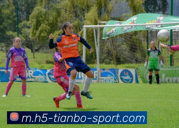 天博体育服务体系